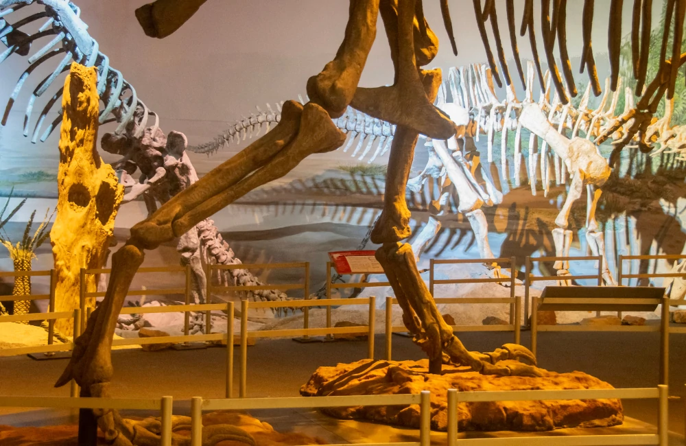 Hong Kong Science Museum